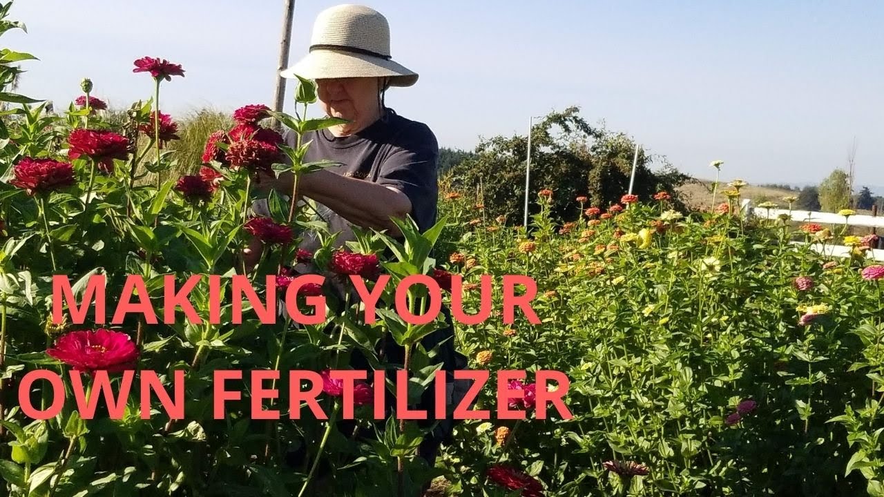 Making Your Own Fertilizer! YouTube