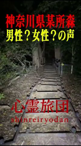 霊の声　あなたはどっちが聞こえた？