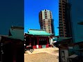 The Shogun’s Sanctuary: High-Altitude Heritage at Azabu Hikawa Shrine / 麻布氷川神社、江戸の記憶と洗練の空気が交差する聖域。