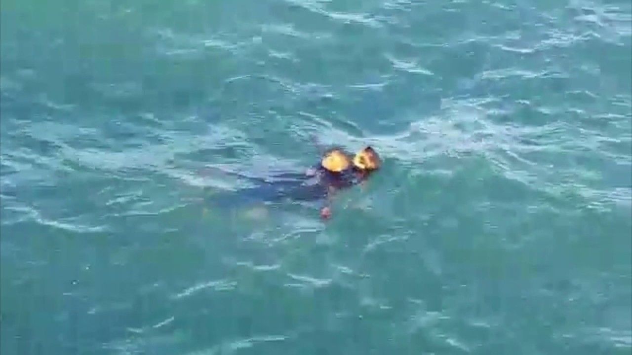 LIFE SAVED - Sea Rescue off Shark Rock Pier Nelson Mandela Bay