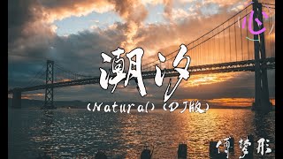 潮汐 (Natural) (DJ版) -  傅梦彤  蓝色的海底 远山的风景 动态歌词LyricsVideo