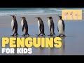 Penguin Facts and Challenges