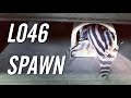 Finally! Another L046 Zebra Pleco Spawn 🦓