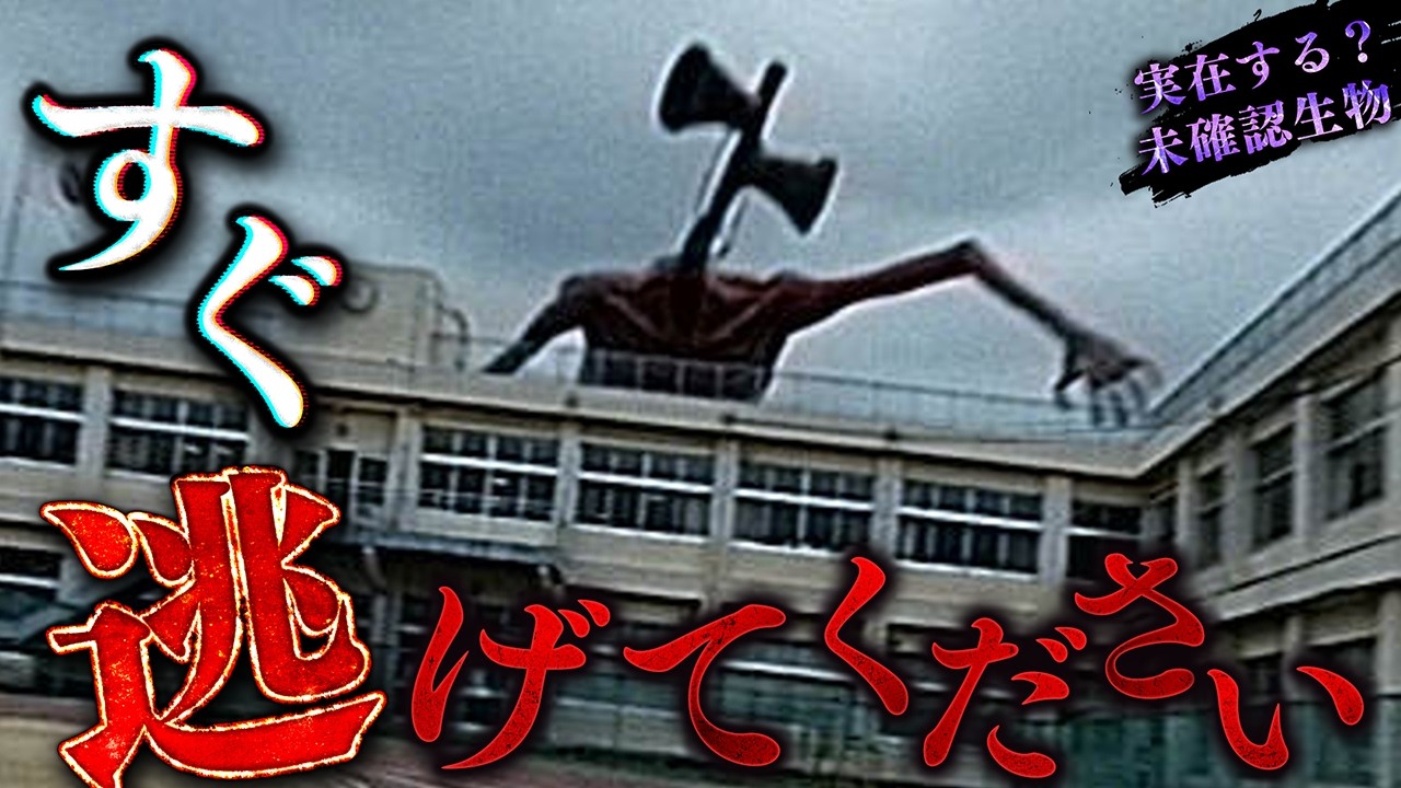 謎の物体生物 New Release] Four Unidentified Creatures Accidentally Caught on