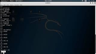 Famous Python Slicing Wealth