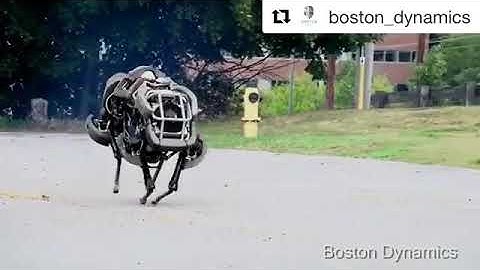 WildCat is a four-legged robot being developed to run fast on all types of terrain.