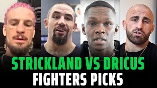 UFC 297: Sean Strickland vs Dricus Du Plessis Fighters Picks