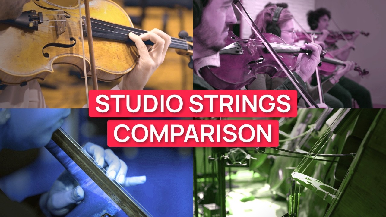 Ultimate String Comparison for Beginners - Section by Section