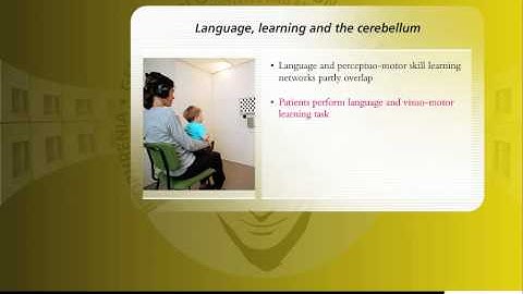 Language, learning and the cerebellum
