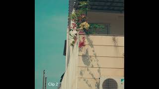 Film Look In Premiere Pro A7Iii Slog2 Itu709 Matrix