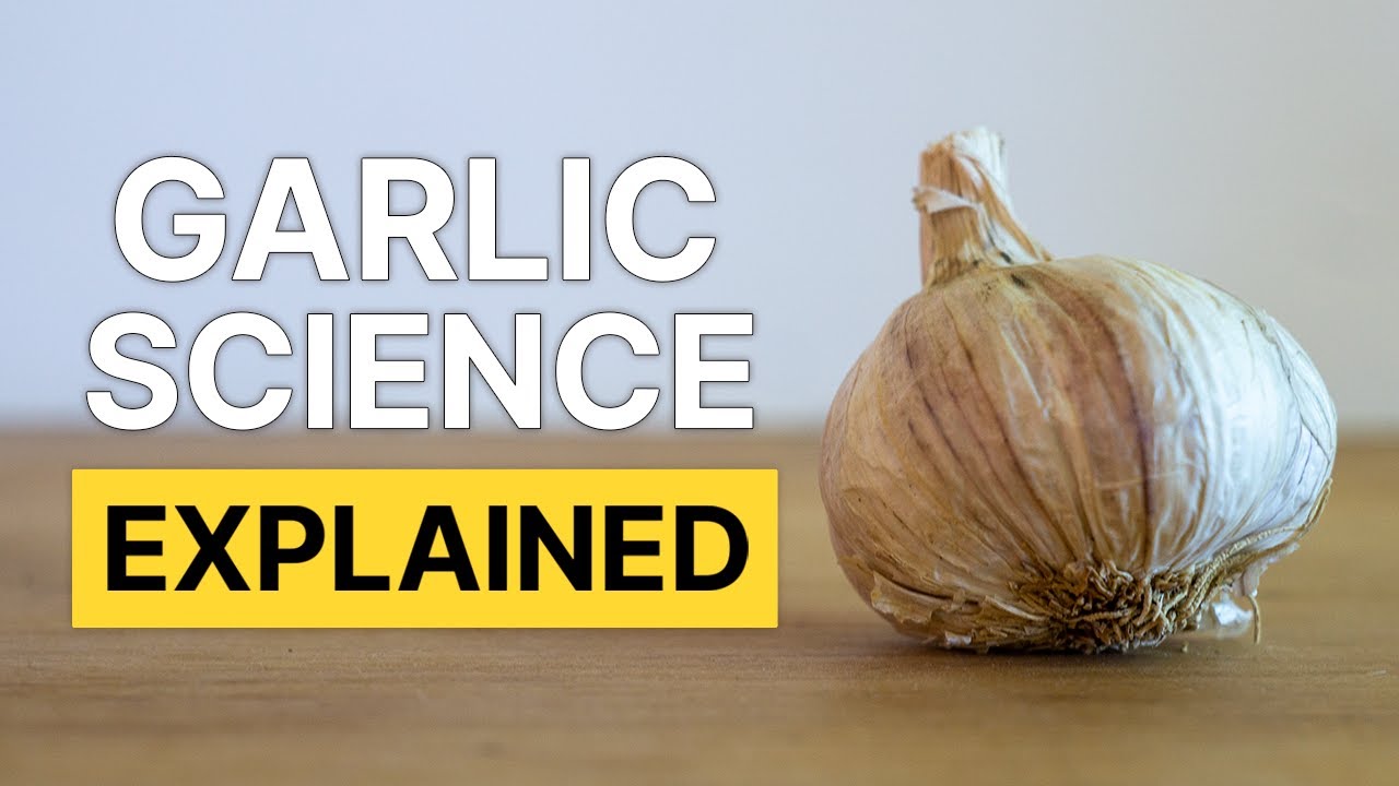 Everything you ever wanted to know about garlic YouTube