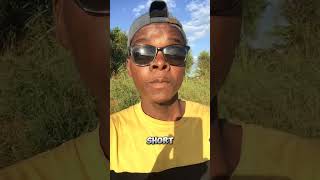 Este é o short mais curto do YouTube #short #youtube #viral Este é o short mais curto do YouTube #short #youtube #viral
