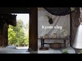 vlog. 京都の日常 | 新緑に癒される春の京都🍃, 平安蚤の市🕰️🧺, ギャラリー&ティースタンドhaku