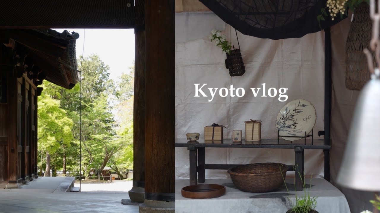 vlog. 京都の日常 | 新緑に癒される春の京都🍃, 平安蚤の市🕰️🧺, ギャラリー&ティースタンドhaku