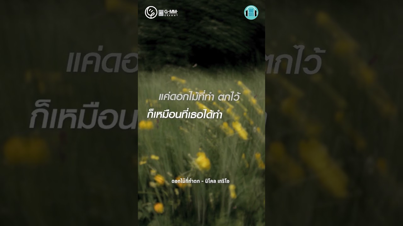 ถูกเทอทิ้งขว้าง เหมือนดอกไม้ที่ไร้ค่าเลยเนอะ #60minutes #ถูกทิ้ง #เพลงเพราะ