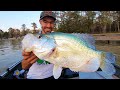 The BIGGEST CRAPPIE in the LAKE!!!