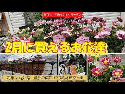 実は失敗しない！ガーデニング用品セールの賢い選び方