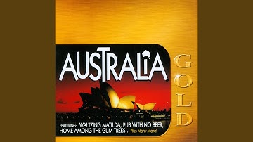 The Australian Hot Meat Pie