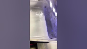 Vevor countertop nugget ice machin