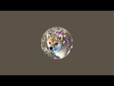 柴犬小夏のKonachannel がライブ配信中！