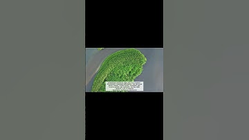 В завищяние ферма #shorts