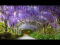Beautiful Relaxing Music, "Europe's most romantic picturesque lakeside villages" by Tim Janis