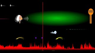 SiMN 2021 | Concerto: PANaroma | Curadoria: Flo Menezes