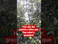 #viral #elmundo #humor #video #yosoydelos7mil # #dia #interiordesign #viralvideo #memes#fe