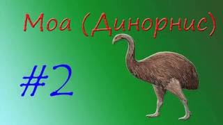 Moa (Динорнис)