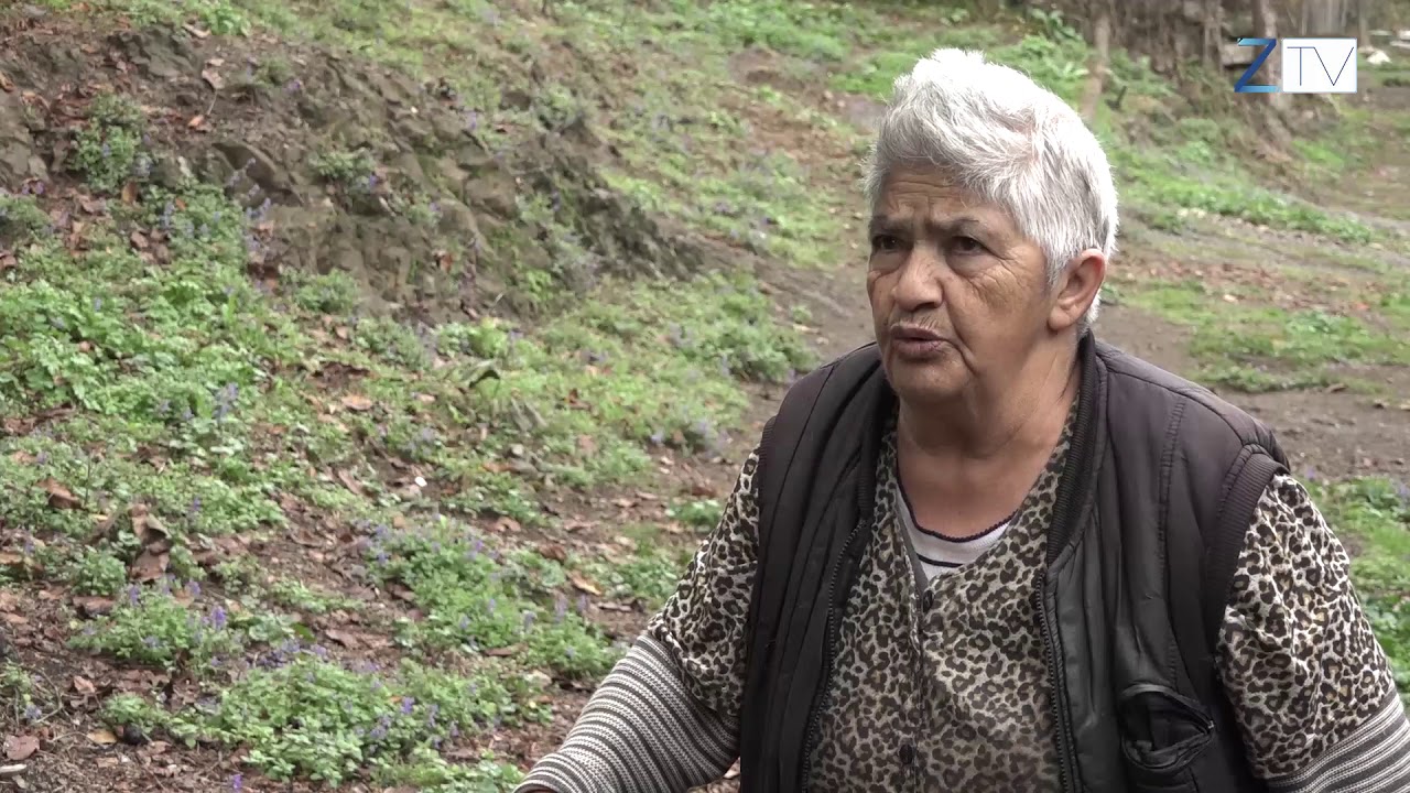 Ջուր հարևանի տնից