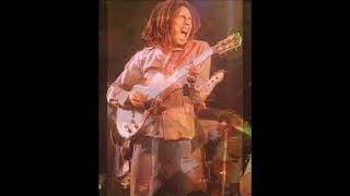 Bob Marley Live !! &quot; Yo Dispare Al Sheriff &quot; Roxy 76 HD!!