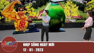 Đến phim trường HGTV, xem các linh vật mèo 2023 | NHỊP SỐNG NGÀY MỚI 12/01/2023