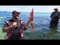 How to Catch Landbased Squid With Oz Fish TV  Using Black Magic Squid Snatchers