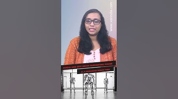 #NVIDIA and Jeff Bezos supporting Figure AI, a humanoid robot firm #shortsvideo