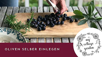 Kann man schwarze Oliven direkt vom Baum essen?