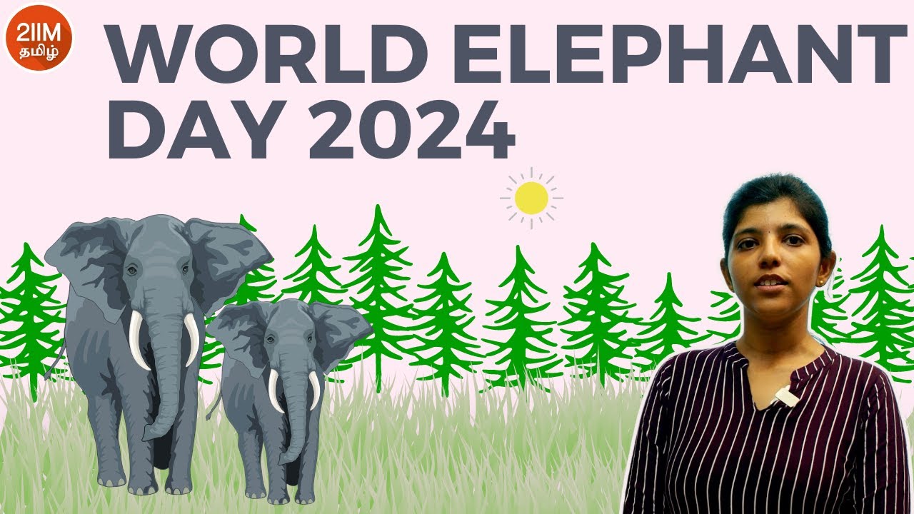World Elephant Day 2024 | 2IIM CAT Tamil Prep | - YouTube