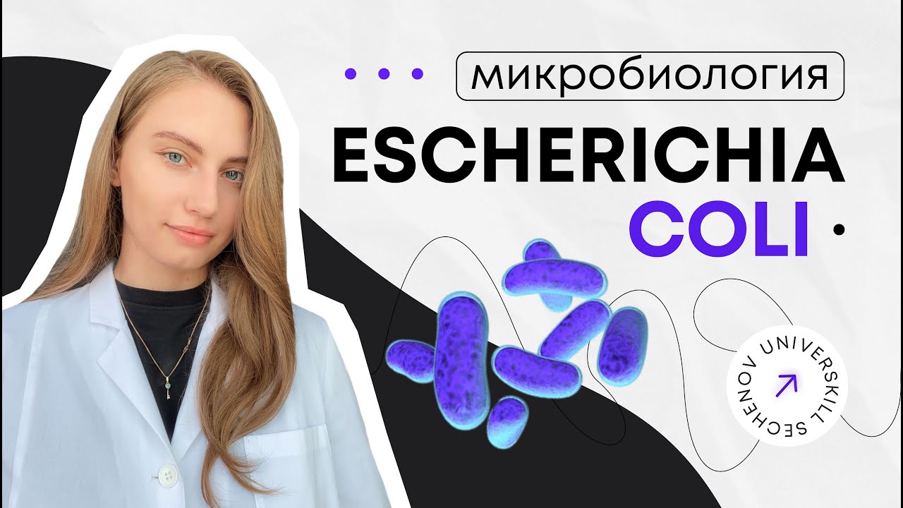 Кишечная палочка | Escherichia coli