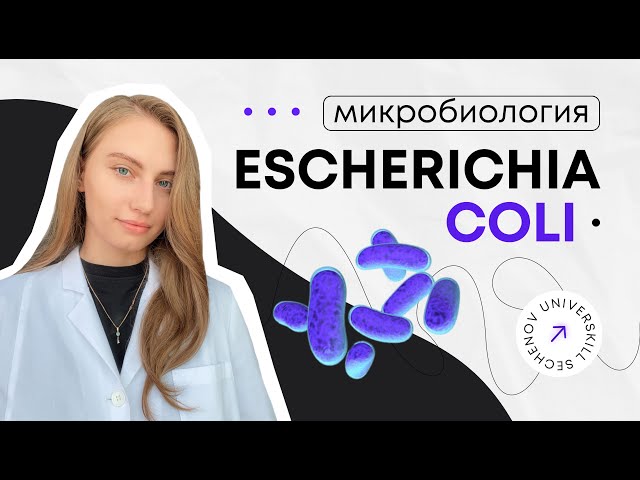 Кишечная палочка | Escherichia coli