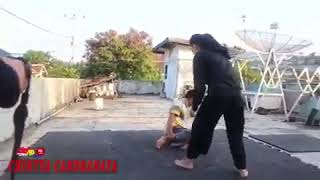 Aksi kecepatan silat mbak chintya candranaya (Tulang Besi)