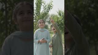 The Little Bird and Two Kind Children 🐦❤️ | A Beautiful Moral Story for Kids