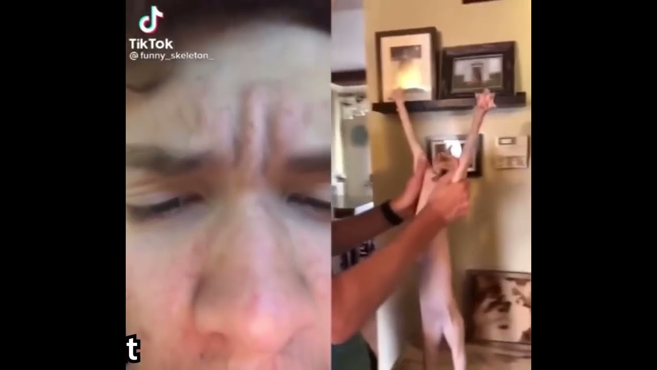 Quite shocking if that cat hit the whip