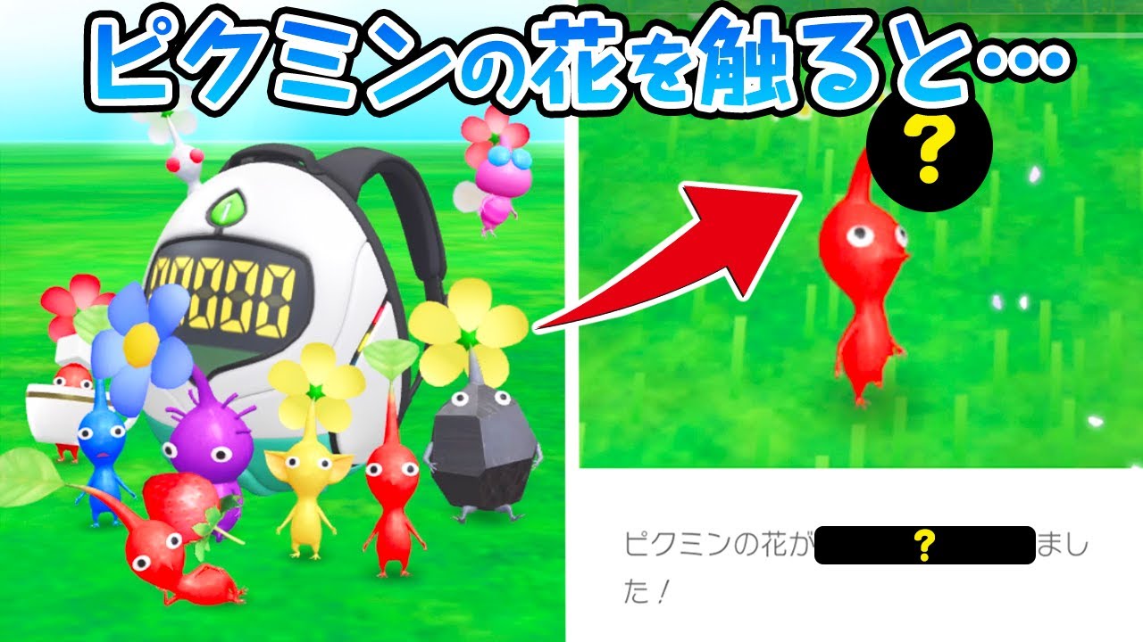 ピクミンbloomに登場するピクミンの生態が色々ヤバい Bloomピクミン生態考察 Youtube
