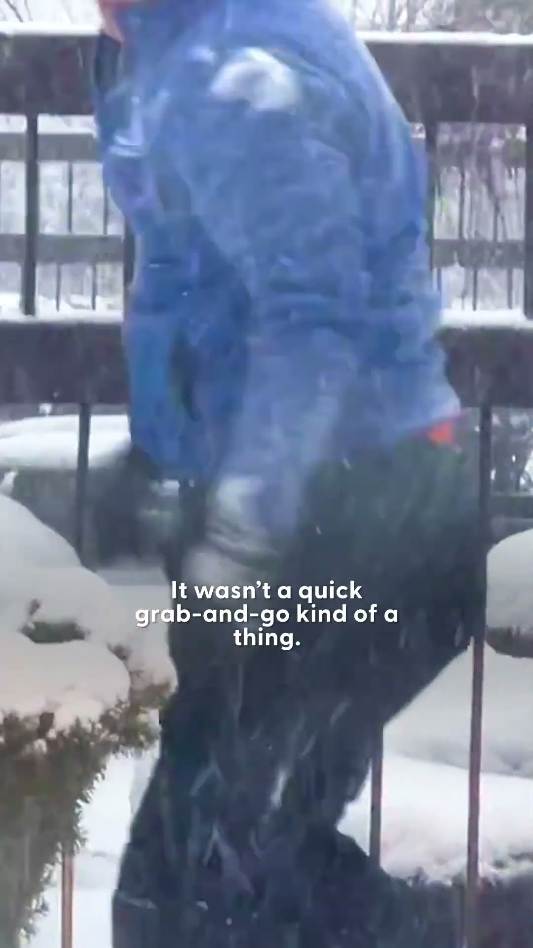 Weatherman Rescues A Chicken In a Blizzard | The Dodo