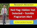 Red Flag: Hidden Text Detected – Turnitin Plagiarism Alert