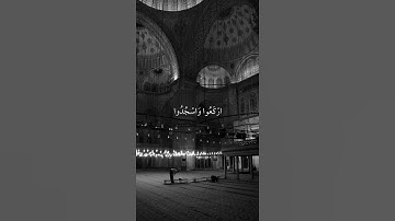 يا أيها الذين آمنوا اركعوا واسجدوا واعبدوا ربكم وافعلوا الخير لعلكم تفلحون - سورة الحج - علي جابر