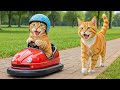 Mama Cat Works Hard at the Pizza Shop to Take Kitten on a Fun Park Trip 🍕💖🎡 | Healing Story