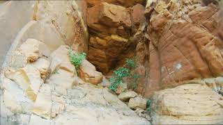 Hiking West Clear Creek Wilderness (Indian Maiden Falls)