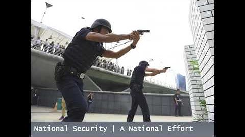 15146_GibsonFiona_Case Study_Singapore Counter Terrorism