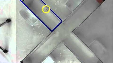 Fish Tracking Software