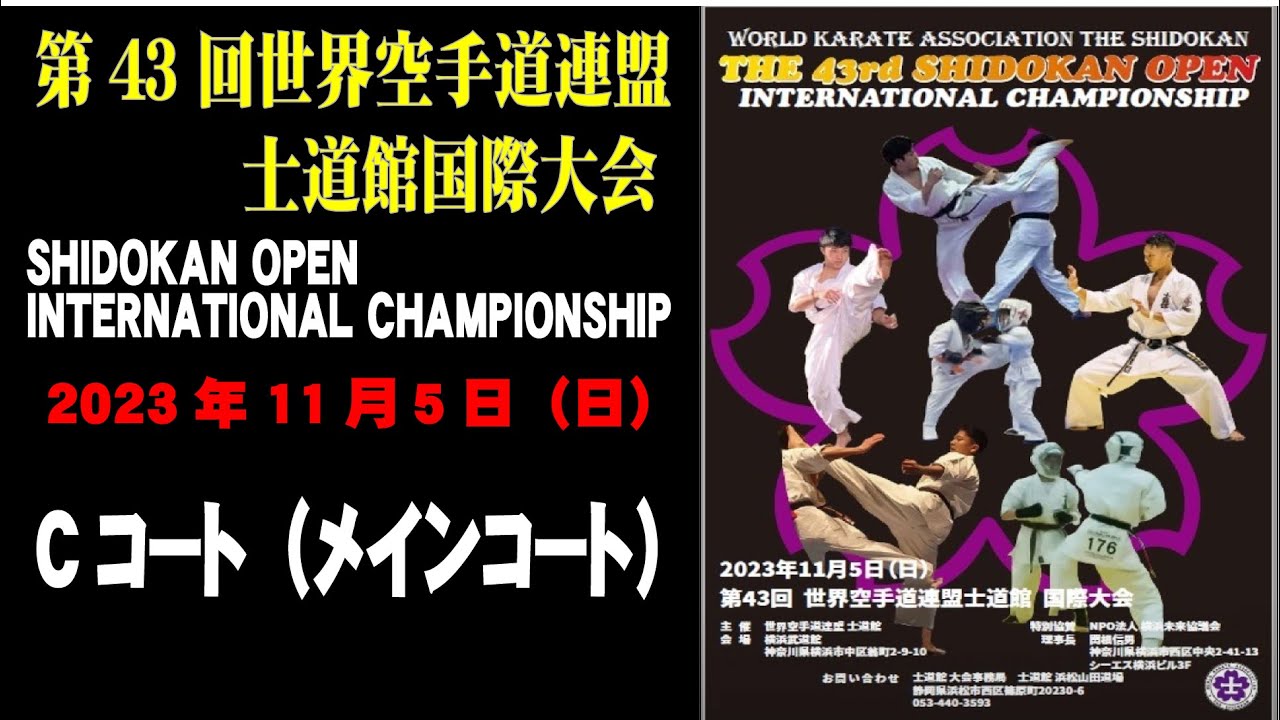 高画質・編集済み】決勝 第43回 世界空手道連盟 士道館 国際大会